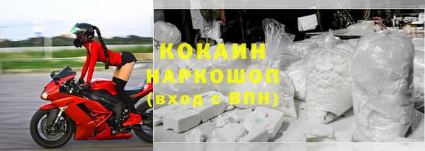 молекула духа Вяземский