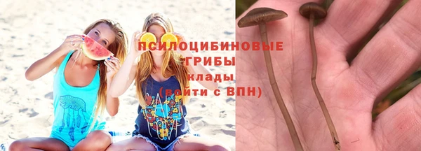первитин Вязьма