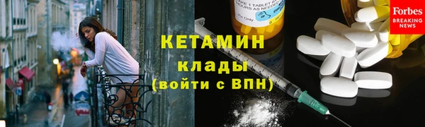 прущие грибы Вязники