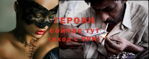 прущие грибы Вязники