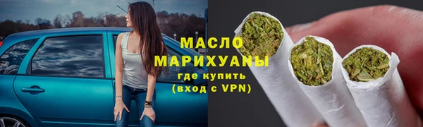 молекула духа Вяземский