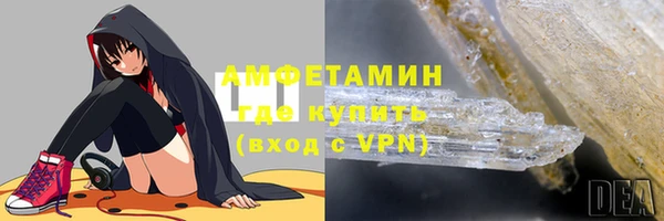 прущие грибы Вязники