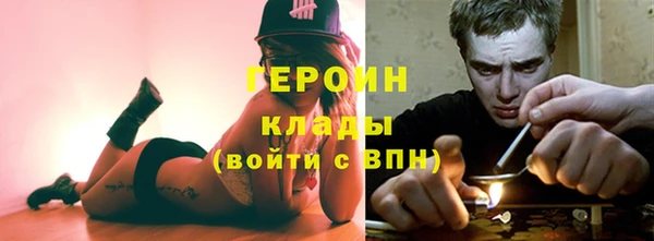прущие грибы Вязники
