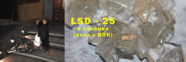 прущие грибы Вязники