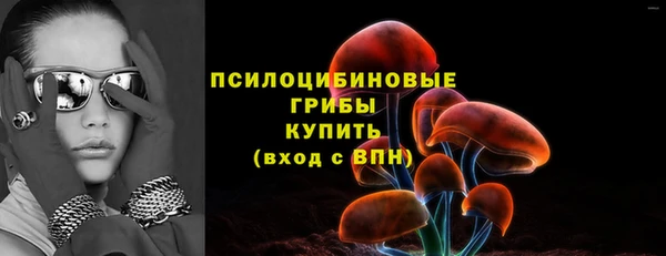 молекула духа Вяземский
