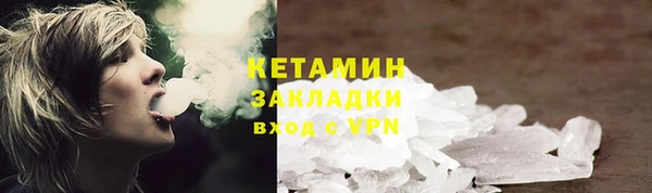 молекула духа Вяземский