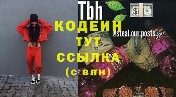прущие грибы Вязники