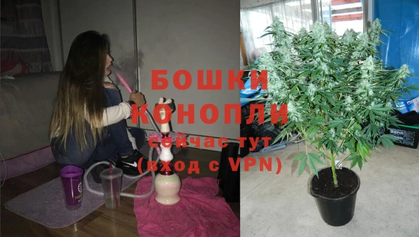 прущие грибы Вязники