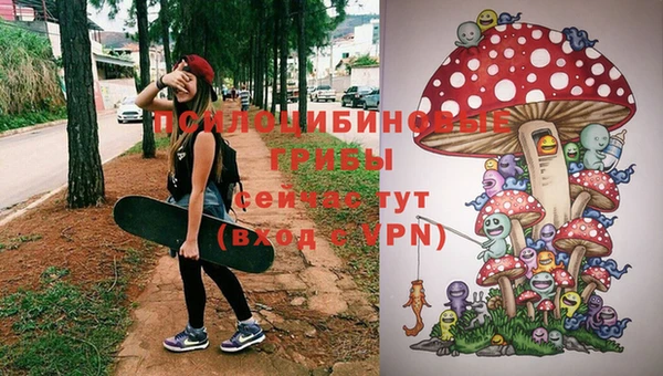 первитин Вязьма