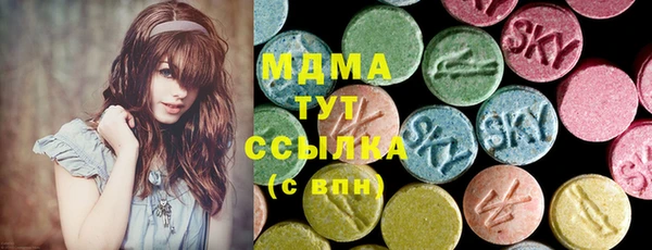молекула духа Вяземский