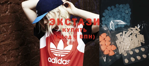 молекула духа Вяземский