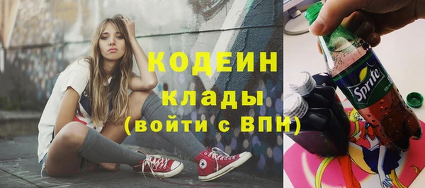 молекула духа Вяземский