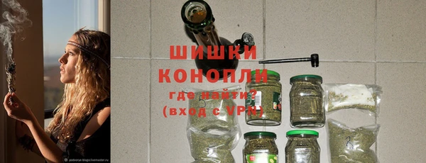 молекула духа Вяземский