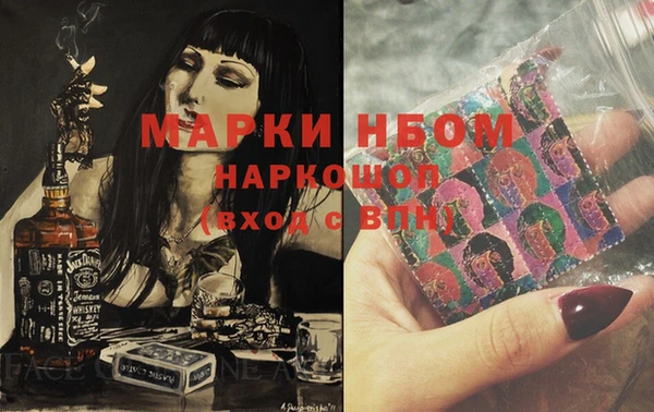 прущие грибы Вязники