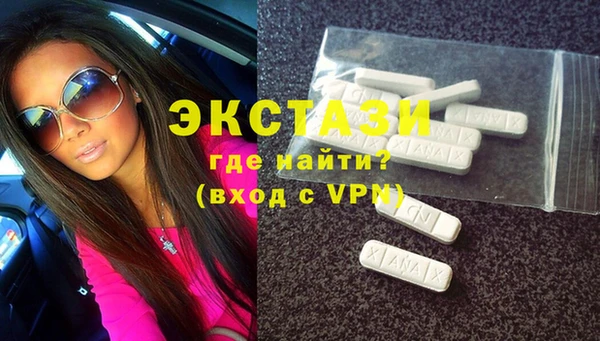 молекула духа Вяземский