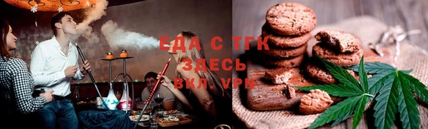 молекула духа Вяземский