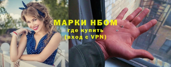 молекула духа Вяземский